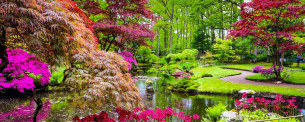 jardin zen